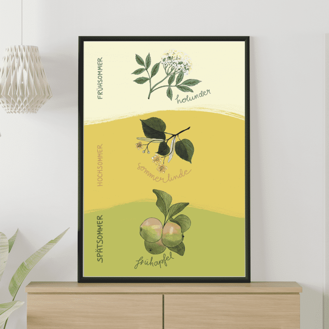 Poster phänologischer Sommer_1